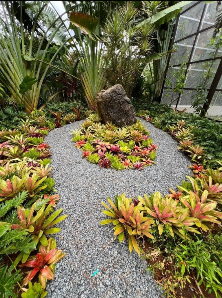 Interior of the RR Heaven Gardenblr nursery greenhouse in Bengaluru