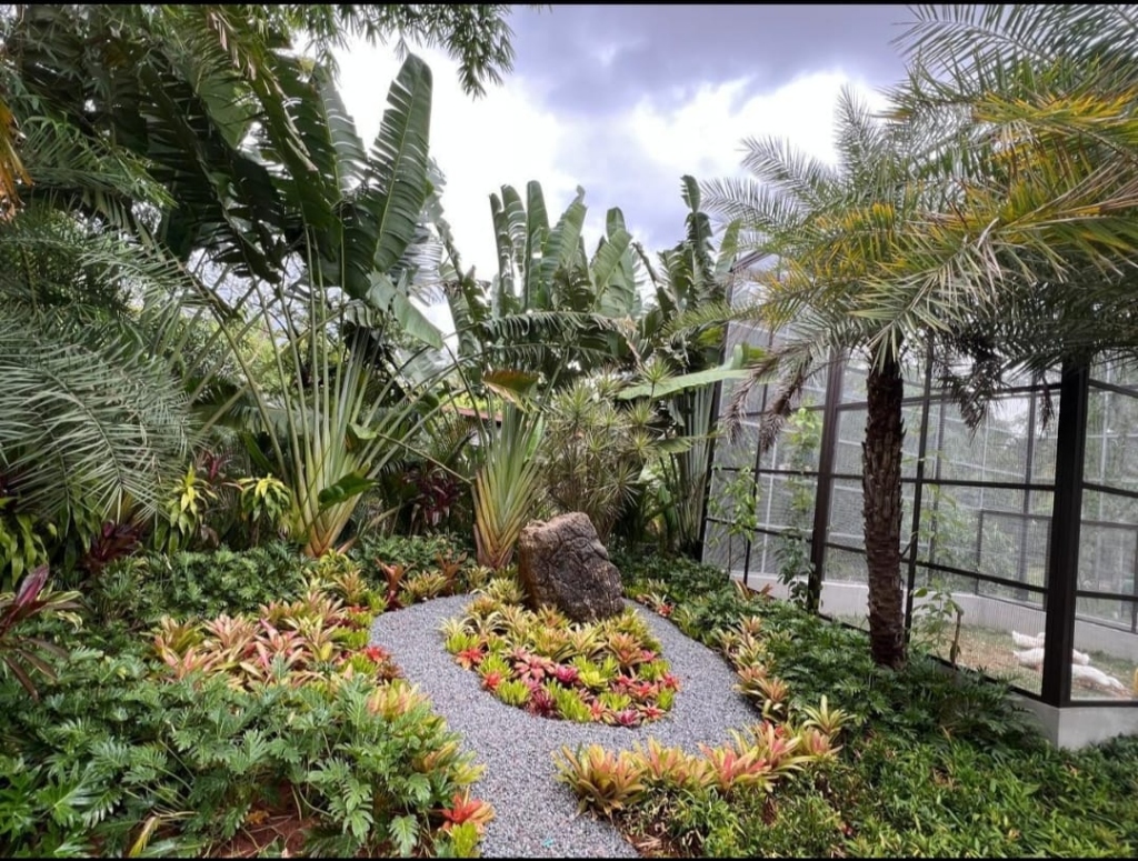 Completed luxury backyard garden with lawn, stone path and layered planting
